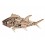 Déco Bord de mer : Grand Poisson en bois flotté et bois MDF, L 45 cm