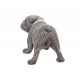 Statuette Chien : Le Bouledogue, Collection Silver Rock, L 39 cm