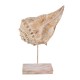 ORIGEN Décoration Marine : Grand Coquillage sur Socle, Effet cérusé Marron, H 32 cm