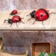 Déco murale métal : Coccinelle Rouge et Noir, H 16 cm