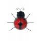 La coccinelle murale rouge, largeur 16 cm