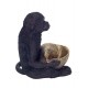 Statuette Singe Noir et Coupe Coquillage, Modèle Black Jungle, H 17 cm