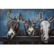 Tableau en Métal 3D : Trois Chevaux au près, L 120 cm