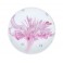 Fleur Pesse Papier Verre : Symphonie florale rose tendre, Diam 10 cm