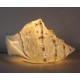 Lampe et Veilleuse, Coquillage Conque blanche, Porcelaine ajourée, L 29 cm