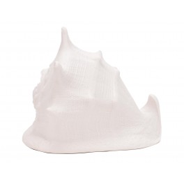 SIGNES GRIMALT Décoration Bord de Mer, Coquillage Conque, Blanc, Longueur 16,5 cm