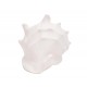 SIGNES GRIMALT Décoration Bord de Mer, Coquillage Conque, Blanc, Longueur 16,5 cm