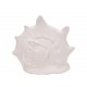 SIGNES GRIMALT Décoration Bord de Mer, Coquillage Conque, Blanc, Longueur 16,5 cm