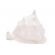 SIGNES GRIMALT Décoration Bord de Mer, Coquillage Conque, Blanc, Longueur 16,5 cm