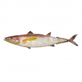 SIGNES GRIMALT Poisson barracuda rouge en métal, effet nacré coloré et couleur blanc opalin, 100% métal et longueur 46 cm