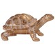 Grand tortue terrestre en résine, Modèle Doré et Céruse blanchie, L 26 cm.