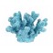 SGRIMALT Décoration Bord de Mer, Corail Branche, Bleu, L 13 cm