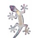 SIGNES GRIMALT Set 2 Geckos Muraux Multicolores, Série Kolor, Hauteur 17 cm