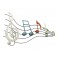 G&S Déco Murale Musique : Portée Musicale Multicolore, L 67 cm