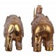 Set 2 éléphants Résine : Modèle Brunei, Doré, L 20 cm (Grand)