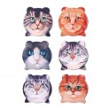 Set 6 Magnets Frigo : 6 Chats, H 7,5 cm