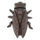 Signes Grimalt - ORIGEN Home Decor Figurez les animaux d'insectes