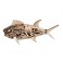 Déco murale en Bois flotté : Poisson, L 54 cm