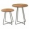 Set 2 tables pour Sellette, Bout de canapé ou porte plante, bois massif acacia, piètement métal design, hauteur 41 et 50 cm