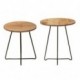 Set 2 tables pour Sellette, Bout de canapé ou porte plante, bois massif acacia, piètement métal design, hauteur 41 et 50 cm