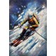 Tableau en Métal 3D : Descente tout schuss à Wengen, H 120 cm