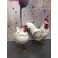 Animal Déco : Duo Coq & Poule Charmants, Taille XL, H 29 cm
