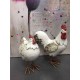 Animal Déco : Duo Coq & Poule Charmants, Taille L, H 22 cm